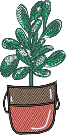Fiddle Leaf Big 2