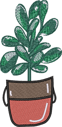 Fiddle Leaf Big 2