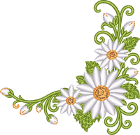 Flower Corner Daisy