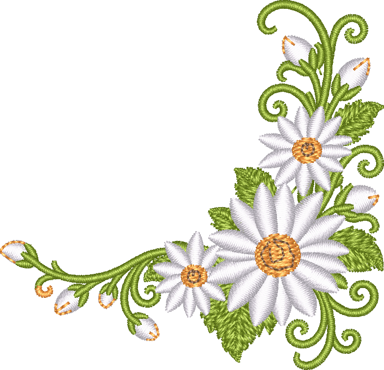 Flower Corner Daisy