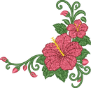 Flower Corner Hibiscus