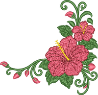 Flower Corner Hibiscus