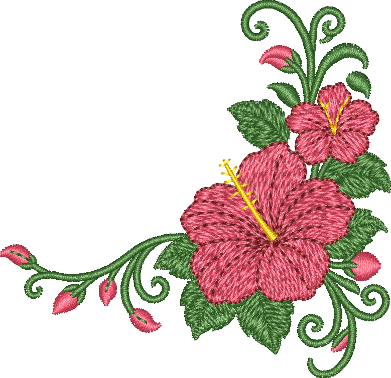 Flower Corner Hibiscus