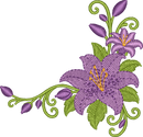 Flower Corner Lily
