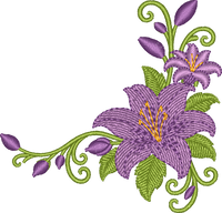 Flower Corner Lily