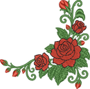 Flower Corner Rose