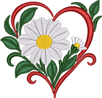 Flower Heart Daisy