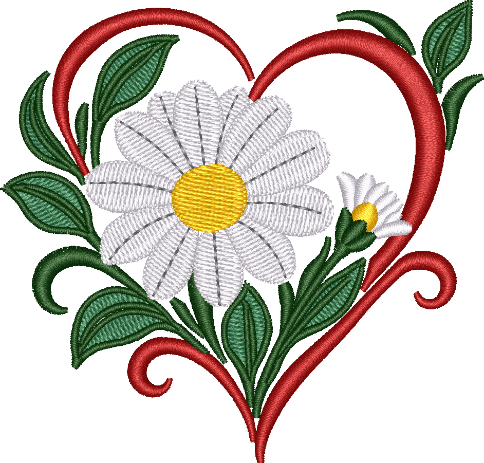 Flower Heart Daisy