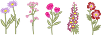 Flowers1 Full Front embroidery design preview