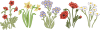 Flowers2 Full Front embroidery design preview