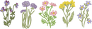 Flowers3 Full Front embroidery design preview