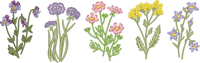 Flowers3 Full Front embroidery design preview