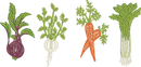 Garden Veggies