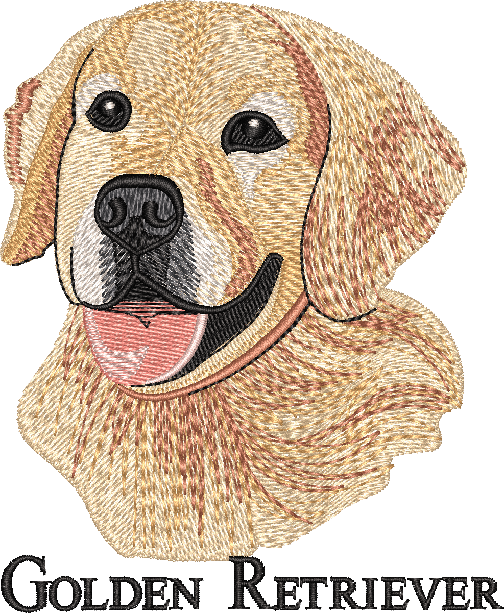 GOLDEN RETRIEVER