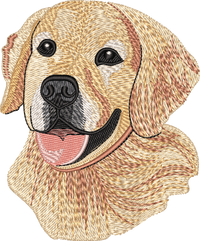 GOLDEN RETRIEVER No Let