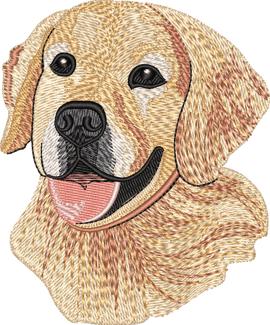 GOLDEN RETRIEVER no let