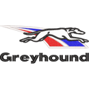 greyhound