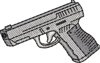 GUNS30