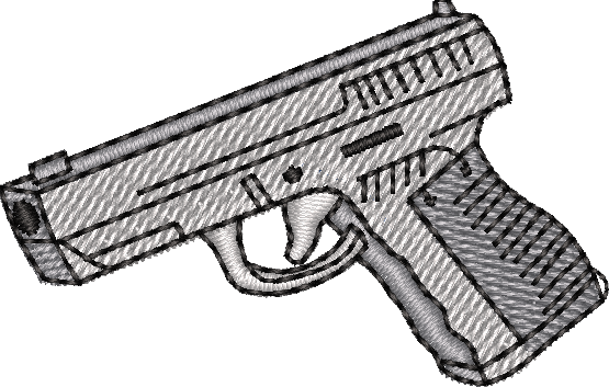 GUNS30