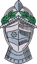 Helmet19