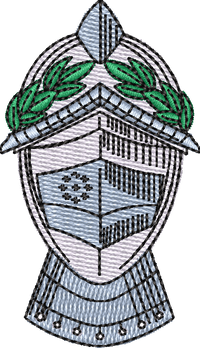 Helmet19