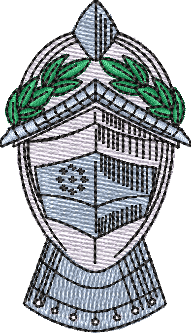 Helmet19