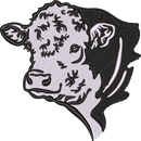 Hereford Cow