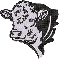 Hereford Cow
