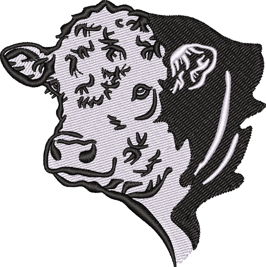 Hereford Cow
