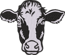 Holstein Cow