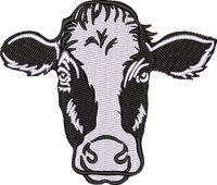 Holstein Cow