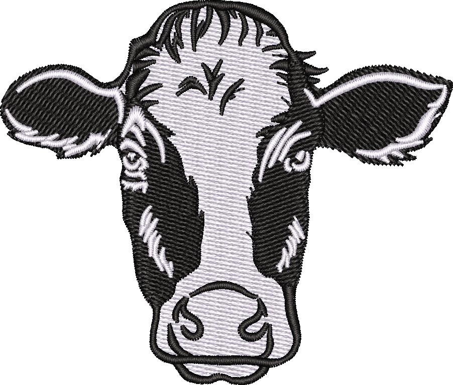 Holstein Cow