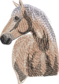 Horse1