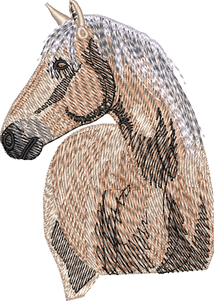 Horse1