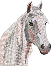 Horse11