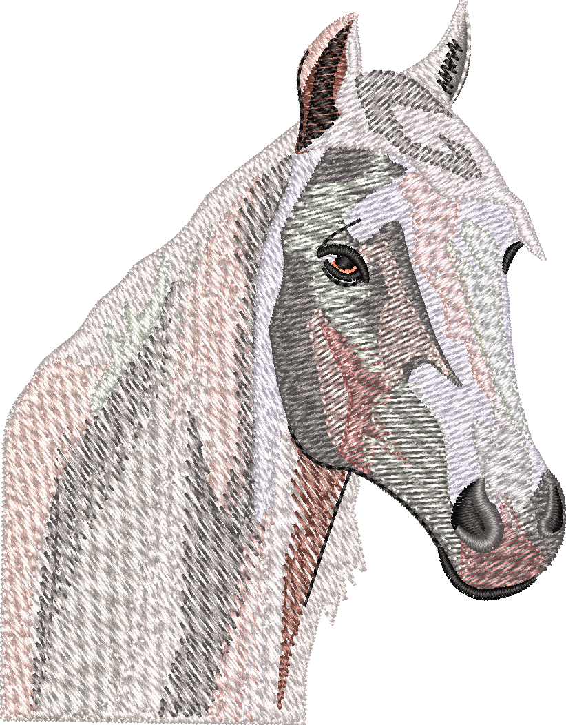 Horse11