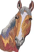 Horse12