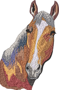 Horse12