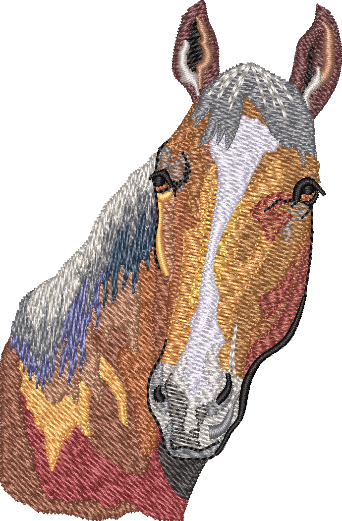 Horse12