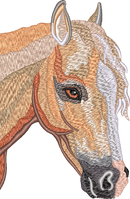 Horse13