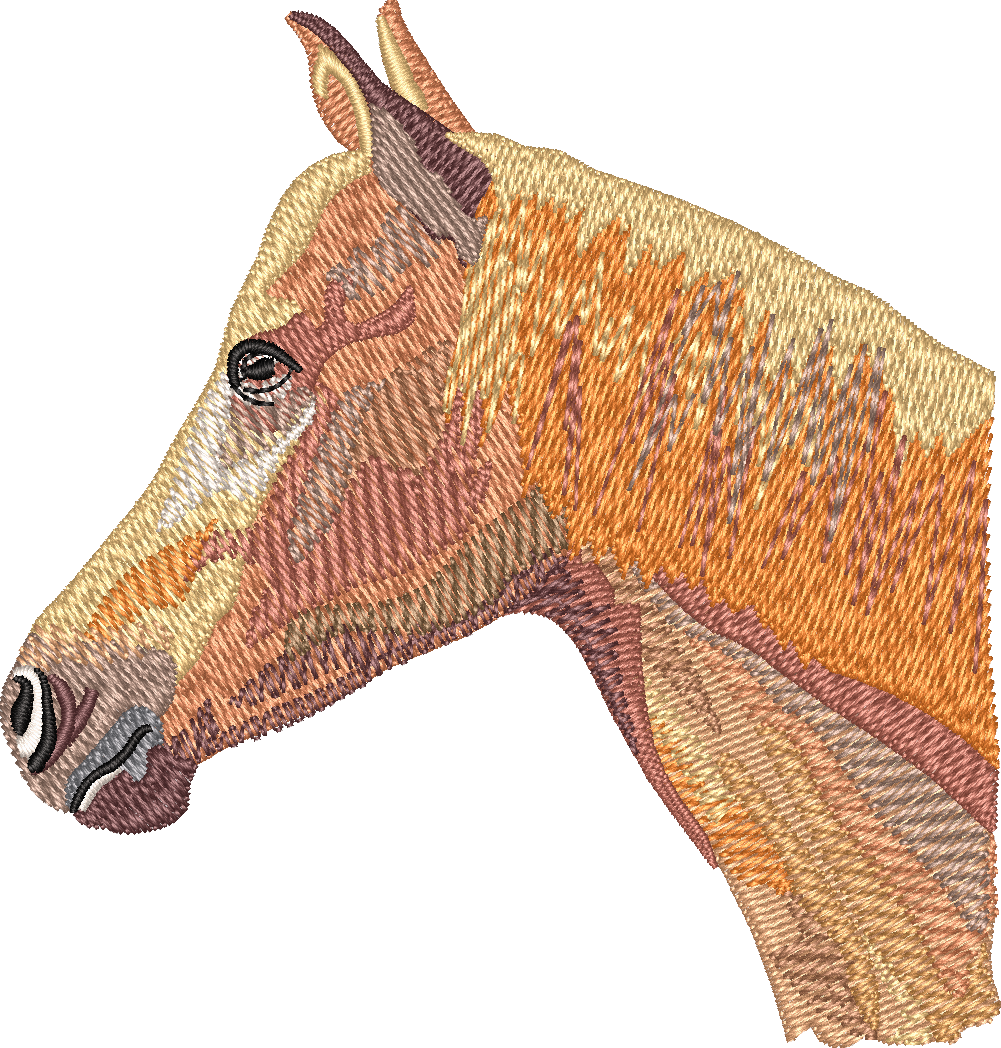 Horse14