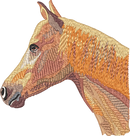 Horse14