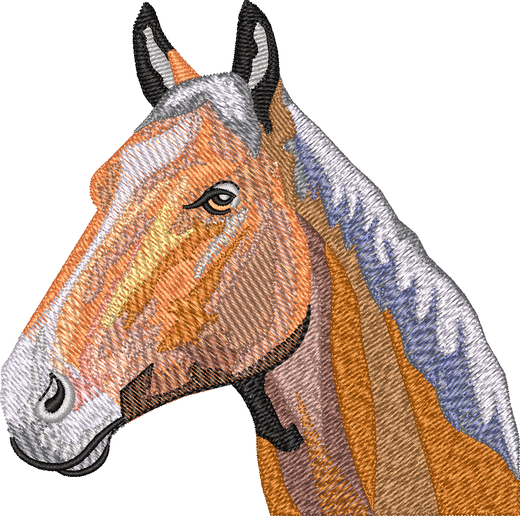 Horse15
