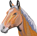 Horse15