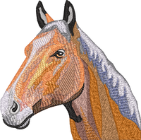 Horse15