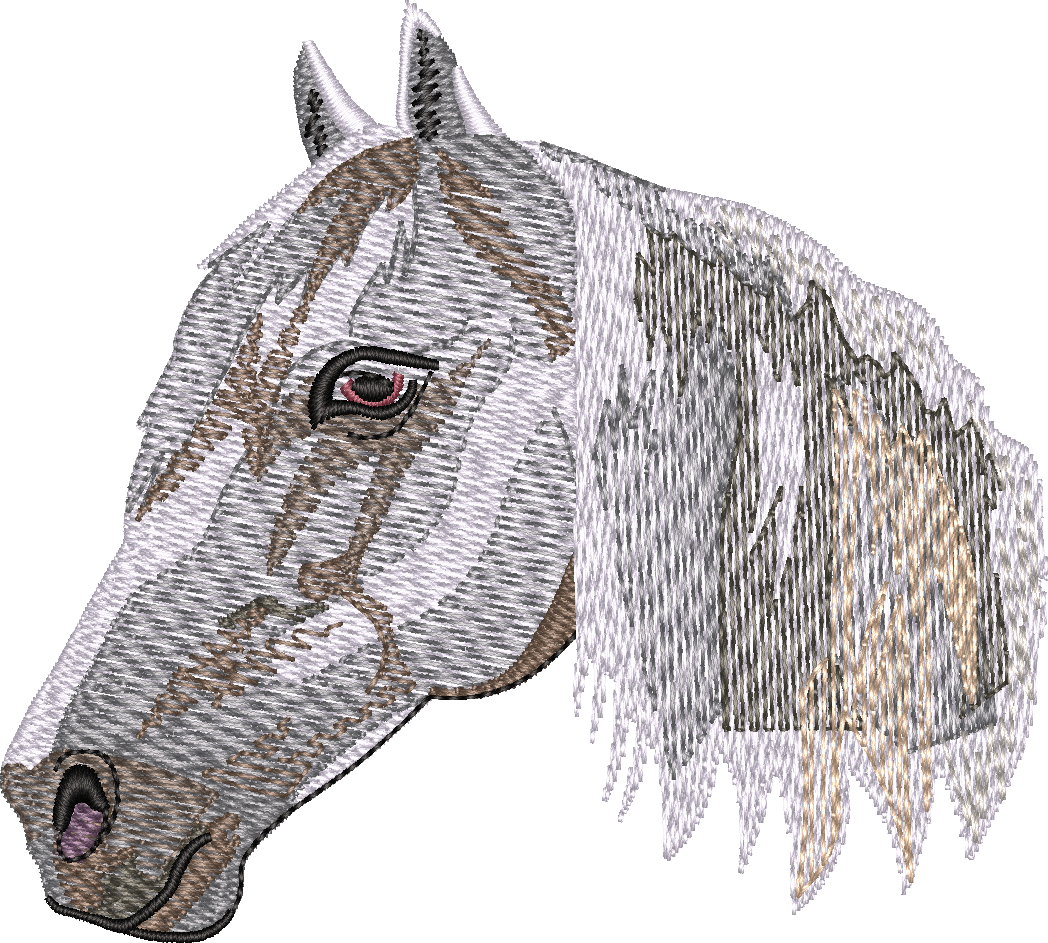 Horse16