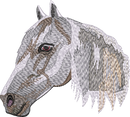 Horse16