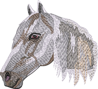 Horse16