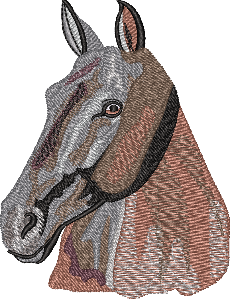 Horse17