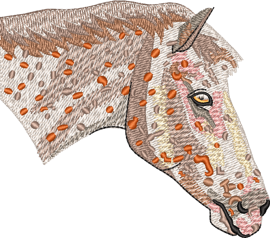 Horse18